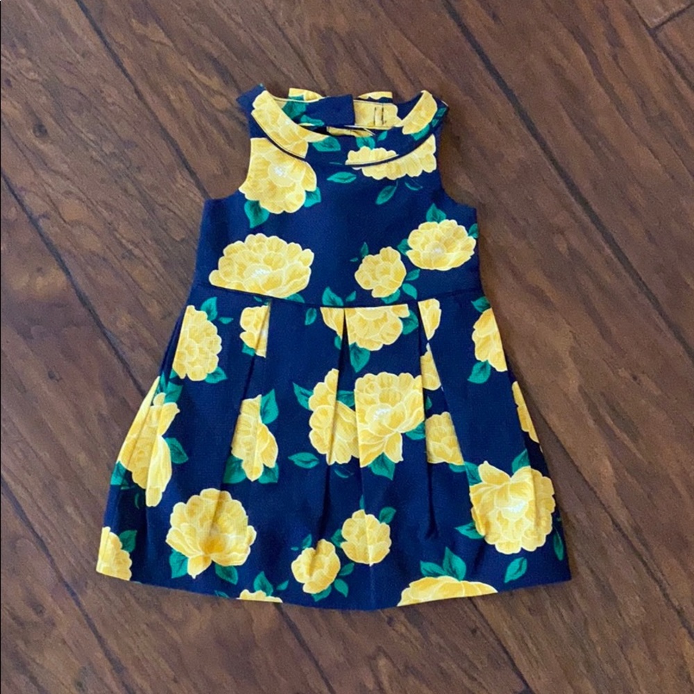 Janie and Jack dress